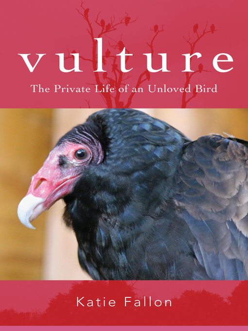 Title details for Vulture by Katie Fallon - Available